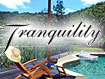 Tranquility on the Daintree
