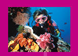 Scuba Diving